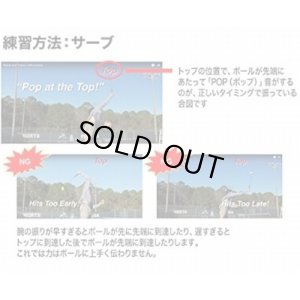 画像10: Ace Traner (エーストレーナー）テニス練習器