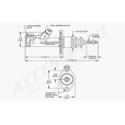 画像2: Wilwood 75 DIA REMOTE CUBISCAN 260-15091 (2)